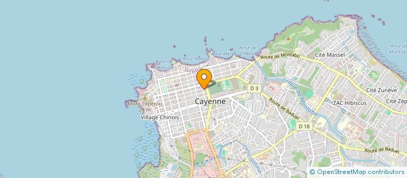 localisation de l'entreprise MADAME DELSUITA DOS SANTOS SILVA  CAYENNE