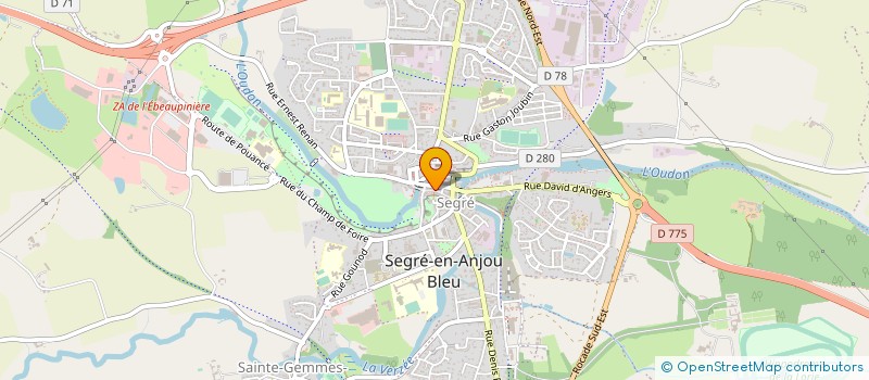 localisation de l'entreprise MADAME DENILZA RODRIGUES DAS DORES  SEGRE-EN-ANJOU BLEU