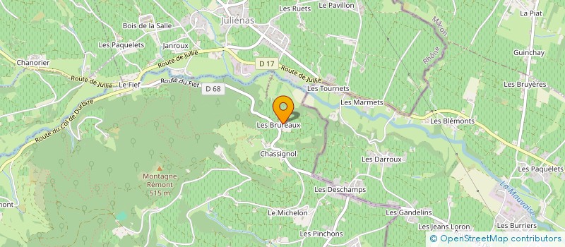 localisation de l'entreprise MADAME DENISE BELAY  CHENAS