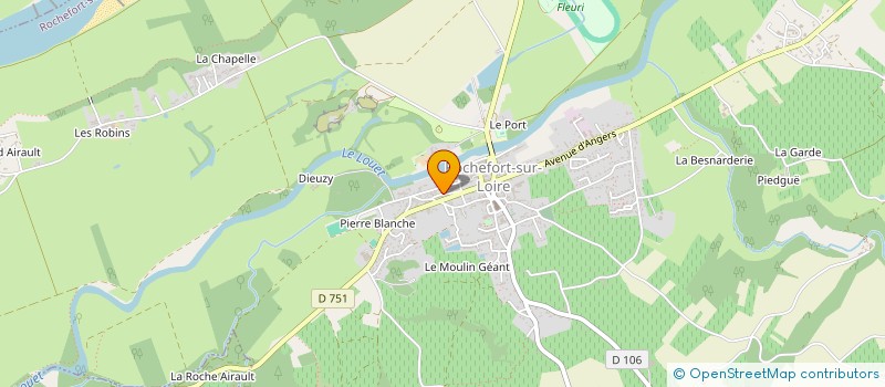 localisation de l'entreprise MADAME DENISE CARTER  ROCHEFORT-SUR-LOIRE