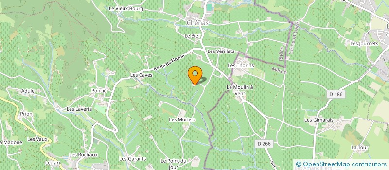 localisation de l'entreprise MADAME DENISE DEBONNE  CHENAS