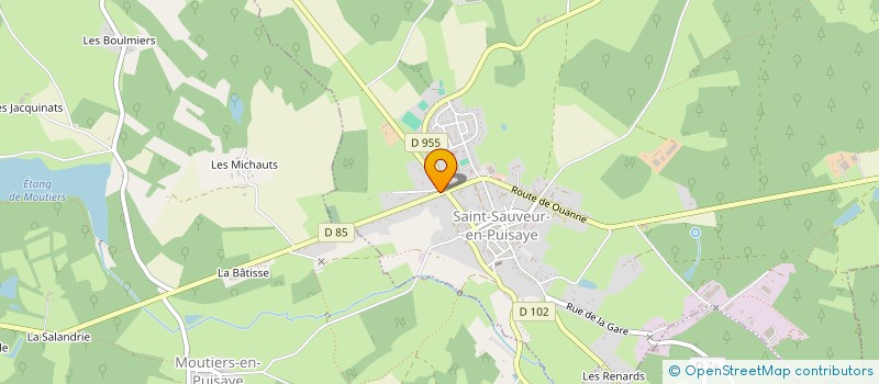 localisation de l'entreprise MADAME DENISE FREDERIC  SAINT-SAUVEUR-EN-PUISAYE