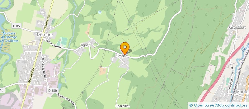 localisation de l'entreprise MADAME DENISE JOYARD  IZERNORE