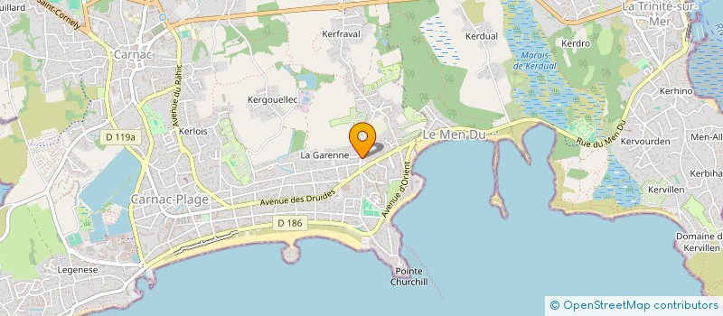 localisation de l'entreprise MADAME DENISE LE TALLEC  CARNAC