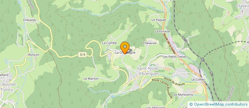 localisation de l'entreprise MADAME DENISE PLASSE  SAINT-NIZIER-D AZERGUES