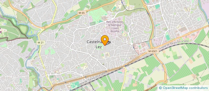 localisation de l'entreprise MADAME DENISE SIRAGUSA  CASTELNAU-LE-LEZ