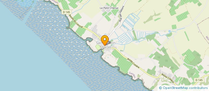 localisation de l'entreprise MADAME DENISE TUITE  CHENAC-SAINT-SEURIN-D'UZET