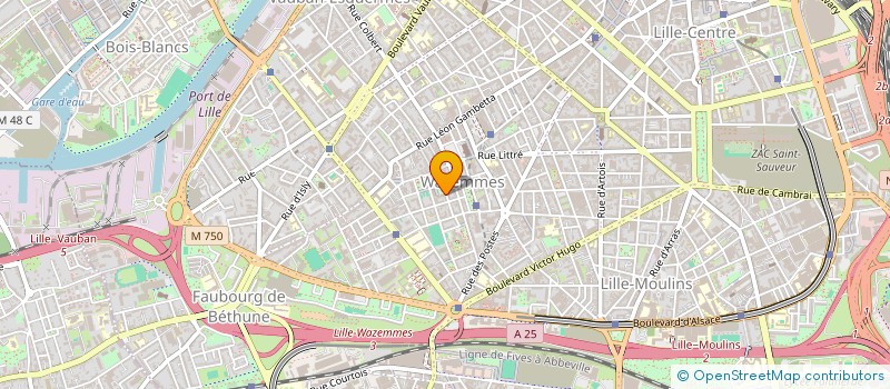 localisation de l'entreprise MADAME DENITSA HRISTOVA  LILLE