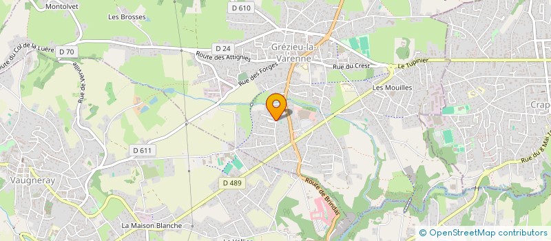 localisation de l'entreprise MADAME DESISLAVA GEORGIEVA  GREZIEU-LA-VARENNE