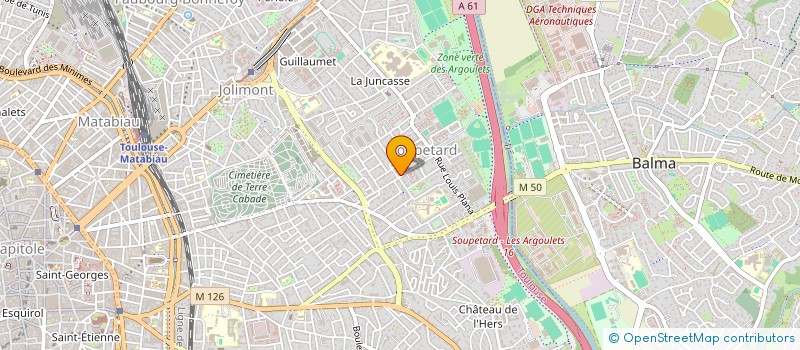 localisation de l'entreprise MADAME DHANYA DEVEAUX  TOULOUSE