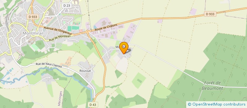 localisation de l'entreprise MADAME DIANA ADAM  MONTMIRAIL