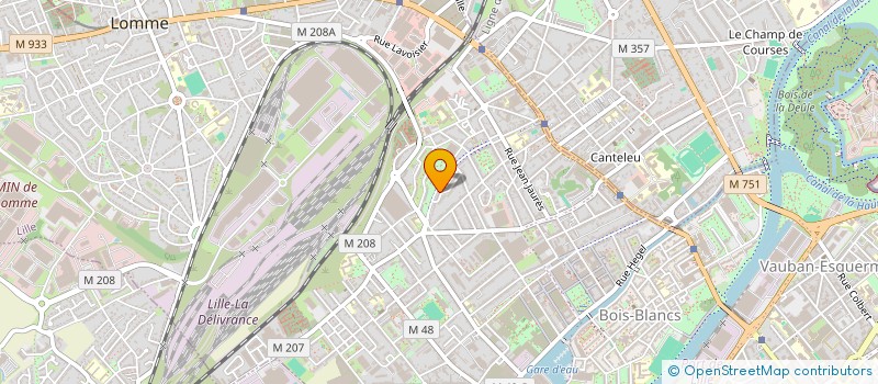 localisation de l'entreprise MADAME DIANA ALOEVA  LILLE