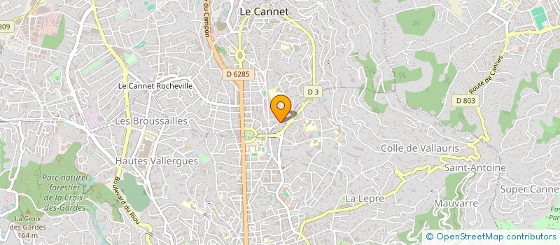 localisation de l'entreprise MADAME DIANA GUISSET à LE CANNET