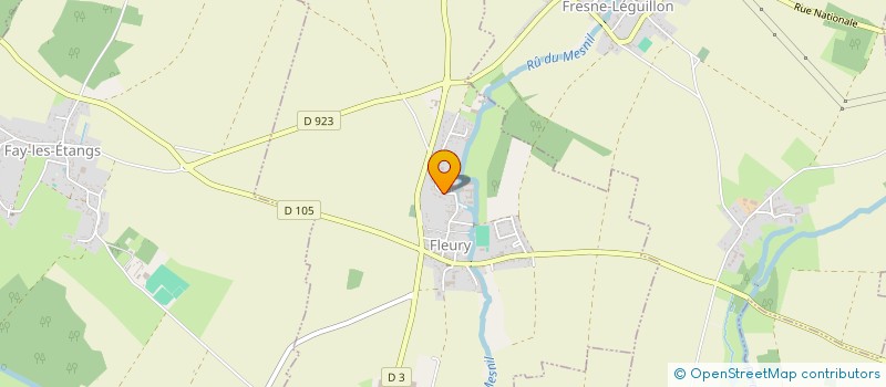 localisation de l'entreprise MADAME DIANA JANEIRO  FLEURY