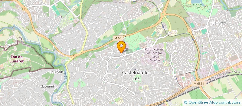 localisation de l'entreprise MADAME DIANA LEBEL à CASTELNAU-LE-LEZ