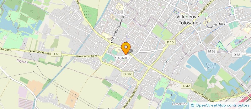 localisation de l'entreprise MADAME DIANA LOPES DE SOUSA MARTINS  FROUZINS