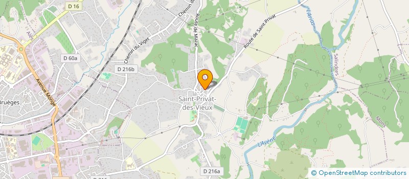 localisation de l'entreprise MADAME DIANA-MARIA BUJGOI  SAINT-PRIVAT-DES-VIEUX