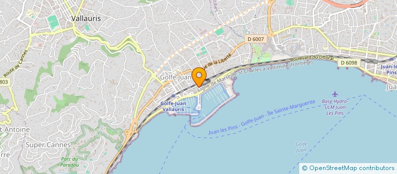 localisation de l'entreprise MADAME DIANA PHILIPS SAAD  VALLAURIS