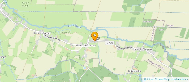 localisation de l'entreprise MADAME DIANA RUIVO ALEIXO PAIS  FRANGY-EN-BRESSE