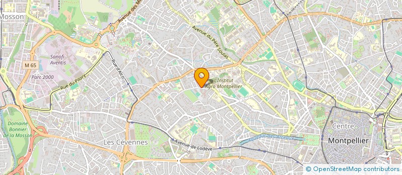 localisation de l'entreprise MADAME DIANA TAYLOR à MONTPELLIER