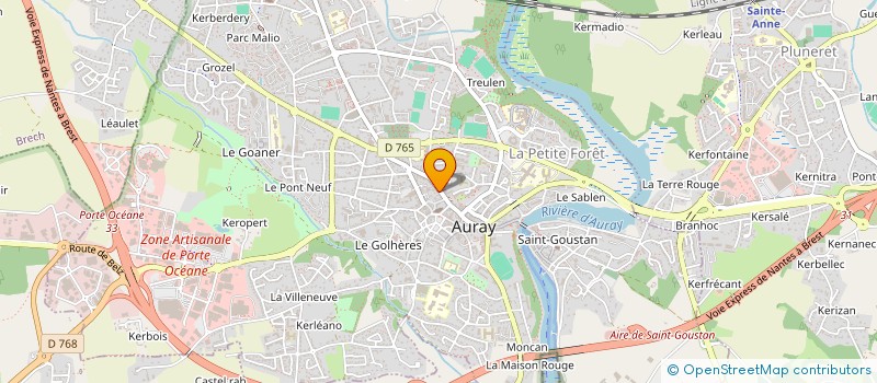 localisation de l'entreprise MADAME DIANA TORRES à AURAY