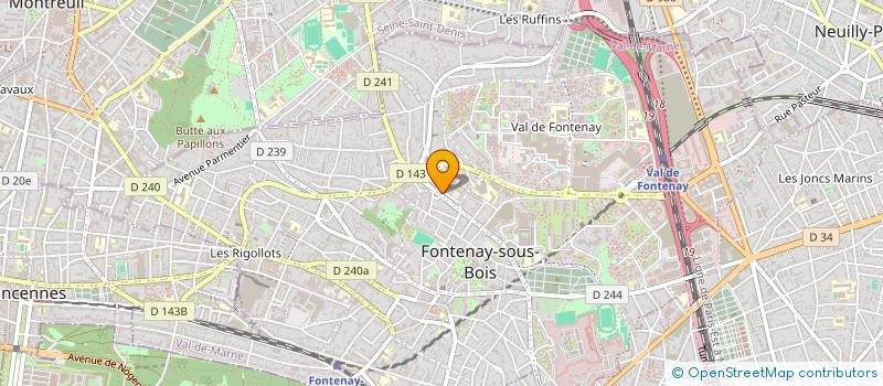 localisation de l'entreprise MADAME DIANA TORRES ALFONSO à FONTENAY-SOUS-BOIS