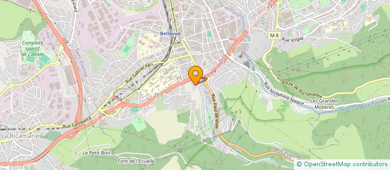 localisation de l'entreprise MADAME DIANA TSIPURIA  SAINT-ETIENNE