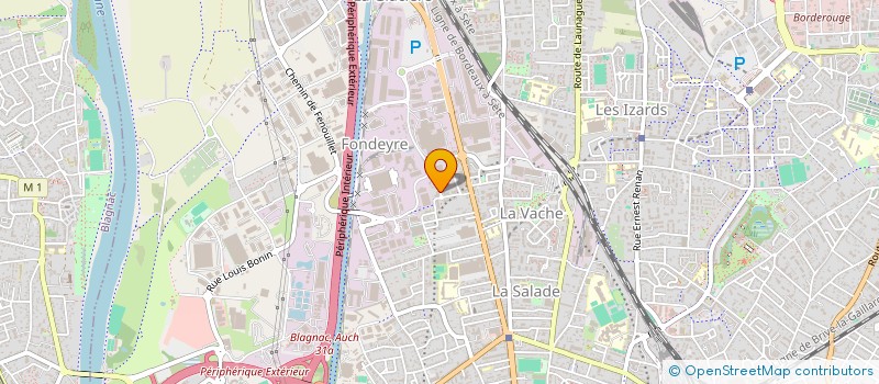 localisation de l'entreprise MADAME DIANA VILEYDI BANGO à TOULOUSE