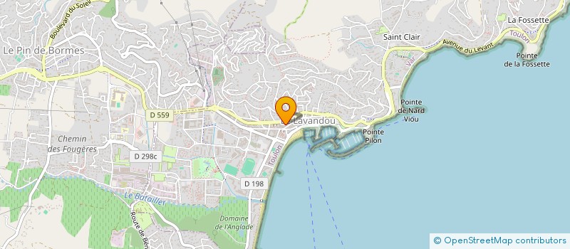 localisation de l'entreprise MADAME DIANA VORNICU à LE LAVANDOU