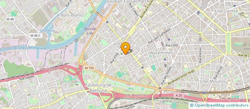 localisation de l'entreprise MADAME DIANE ANQUETIL à LILLE