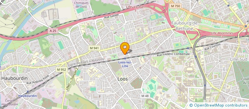 localisation de l'entreprise MADAME DIANE BENEDETTI  LOOS