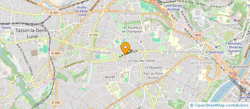 localisation de l'entreprise MADAME DIANE CHAMPENOIS  LYON