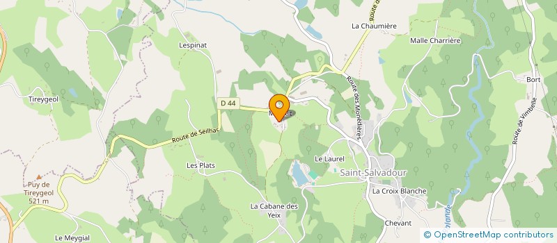 localisation de l'entreprise MADAME DIANE DE LESPINASSE DE BOURNAZEL  SAINT-SALVADOUR