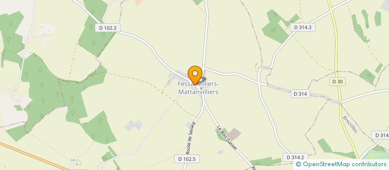 localisation de l'entreprise MADAME DIANE DELMAS à FESSANVILLIERS-MATTANVILLIERS