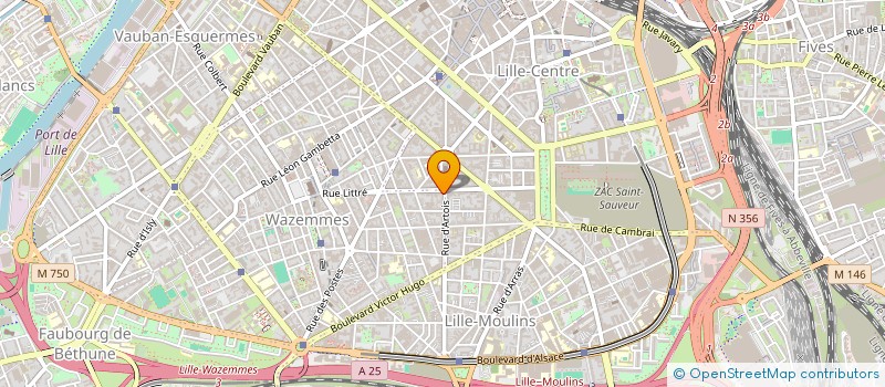 localisation de l'entreprise MADAME DIANE DESPOIS à LILLE