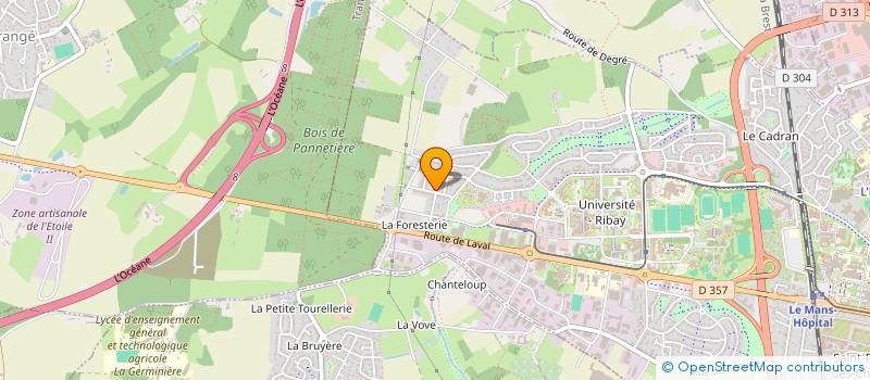 localisation de l'entreprise MADAME DIANE-ELPHEGE COIDAN  LE MANS