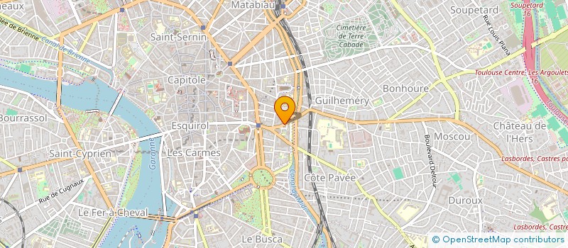 localisation de l'entreprise MADAME DIANE EVO à TOULOUSE
