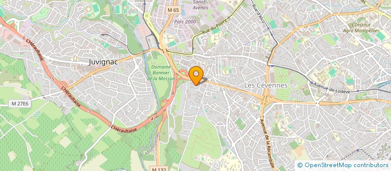 localisation de l'entreprise MADAME DIANE JANEL-AJOUR à MONTPELLIER