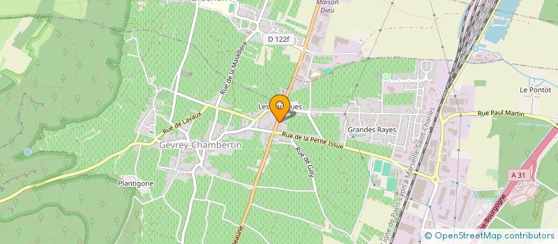 localisation de l'entreprise MADAME DIANE LASSEMILLANTE  GEVREY-CHAMBERTIN