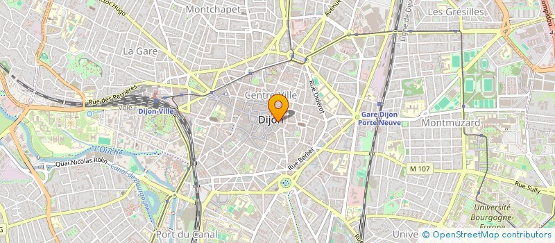 localisation de l'entreprise MADAME DIANE LESCHEVIN D'ERE à DIJON