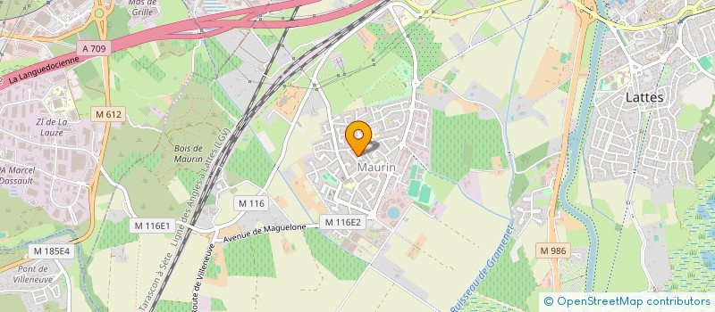 localisation de l'entreprise MADAME DIANE NICOLAS à LATTES