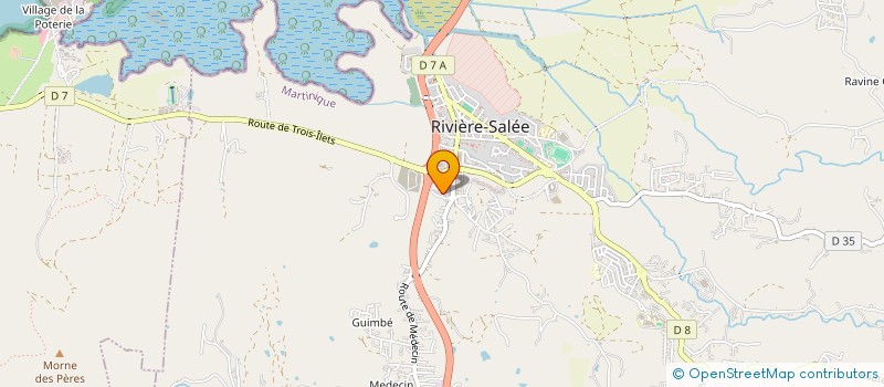 localisation de l'entreprise MADAME DIANE NTIRAMPEBA  RIVIERE-SALEE