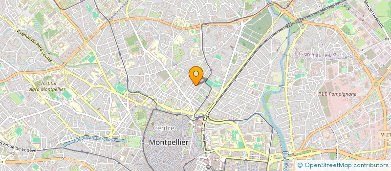 localisation de l'entreprise MADAME DIANE RICHARDSON à MONTPELLIER