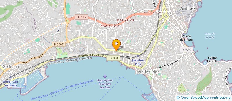 localisation de l'entreprise MADAME DIANE RODRIGUES à ANTIBES