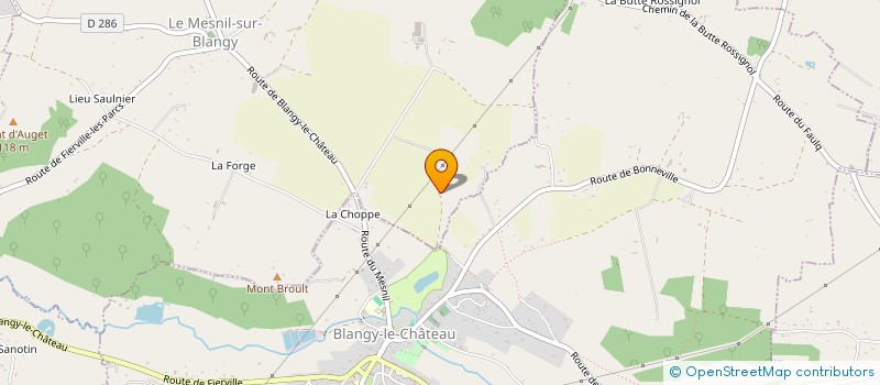 localisation de l'entreprise MADAME DIANE VIRCHAUX  LE MESNIL-SUR-BLANGY