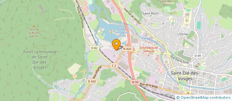 localisation de l'entreprise MADAME DILEK RUMELIOGLU  SAINT-DIE-DES-VOSGES