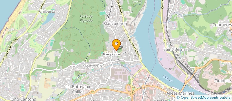 localisation de l'entreprise MADAME DILIA GOMES DA SILVA GOMES  ANGLET