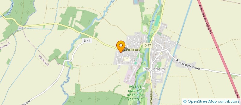 localisation de l'entreprise MADAME DINA GERMANY  REGUISHEIM