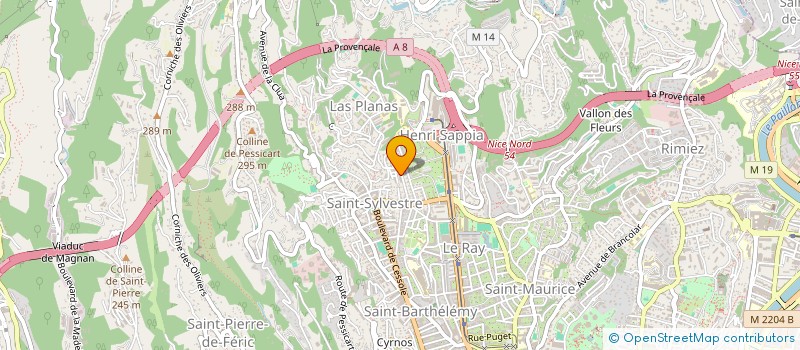 localisation de l'entreprise MADAME DOINA COSCIUG à NICE