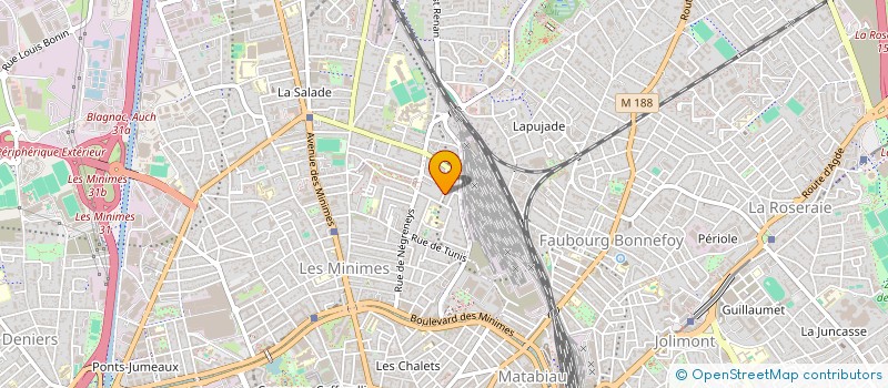 localisation de l'entreprise MADAME DOINA COSTACHE à TOULOUSE